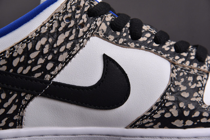NIKE SB DUNK LOW PRO 