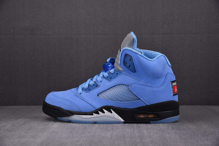 Air Jordan 5 Concord DV1310-401