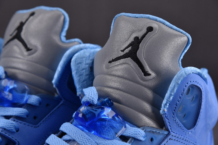 Air Jordan 5 Concord DV1310-401