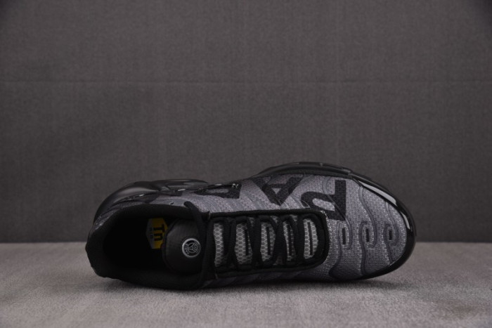 Nike Air Max Plus PSG Paris Saint-Germain Black Particle Grey IB2253-001